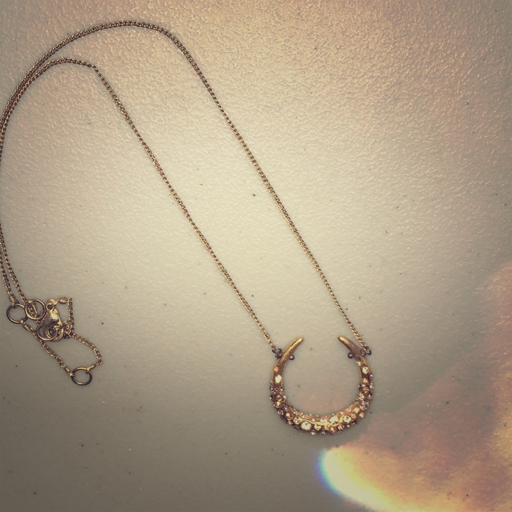 Alexis bittar half moon necklace